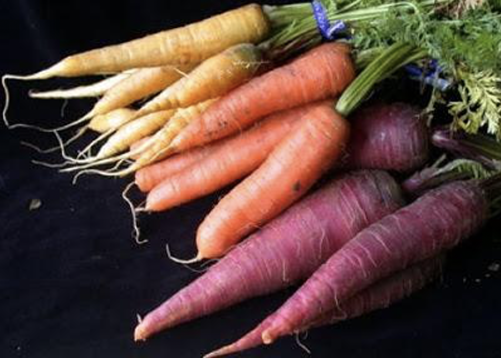 Bundle of rainbow carrots